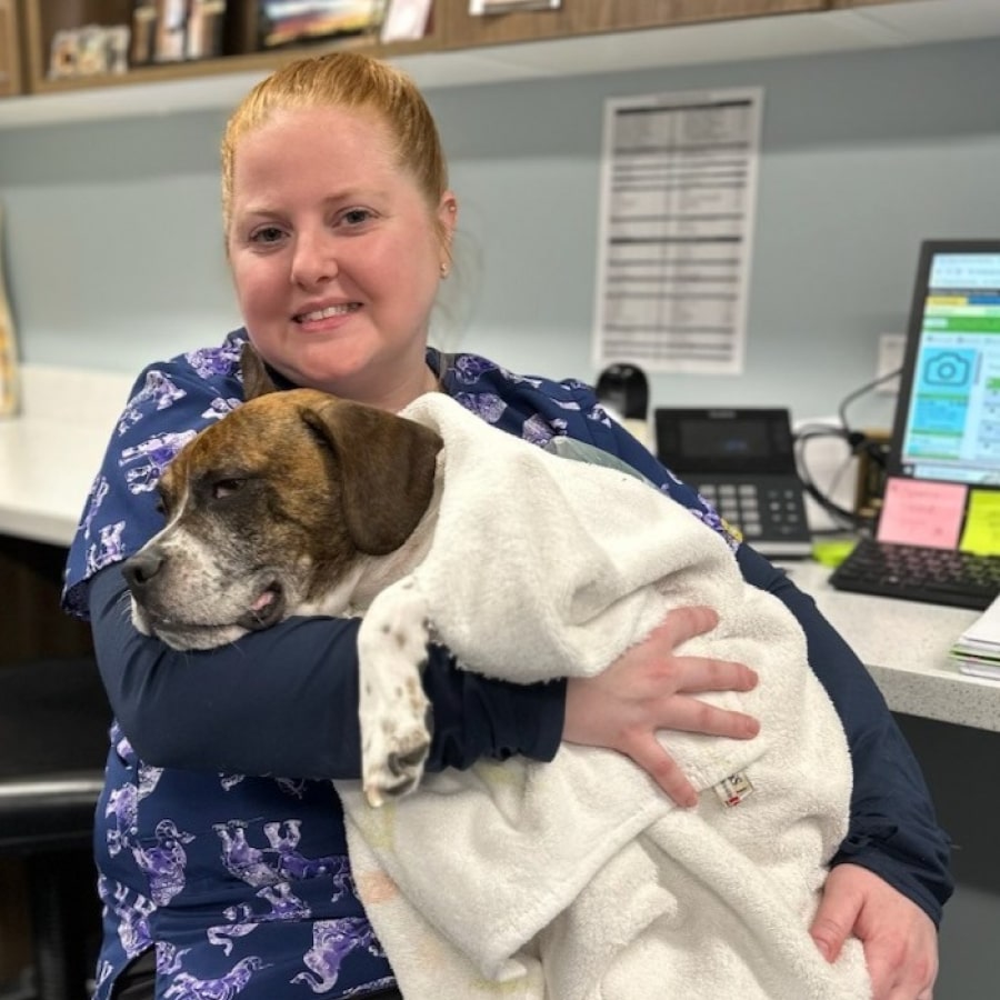 Happy doctor with a pet dog covered in towel
