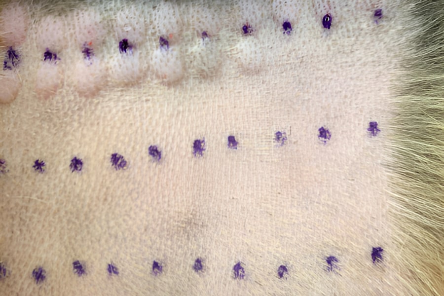 Intradermal allergy testing