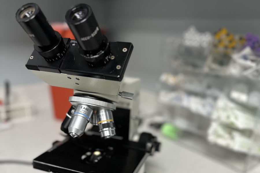 Microscope in clinic